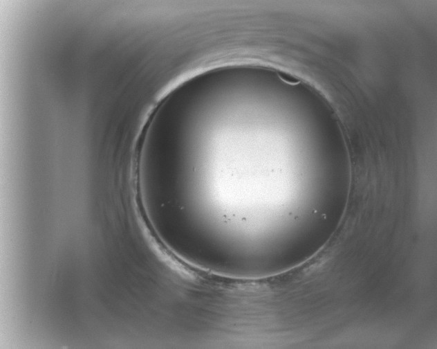 X0000067871526200604131223