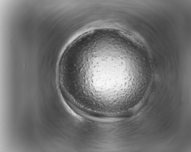 X0000067871528200604131223