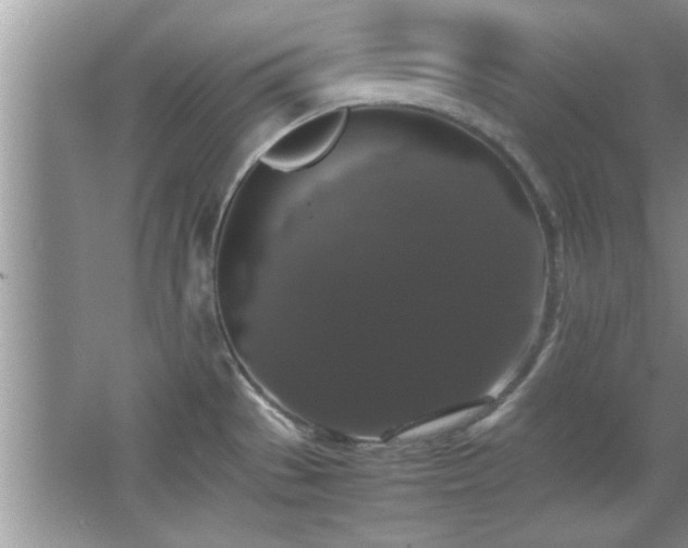 X0000067871529200604131223