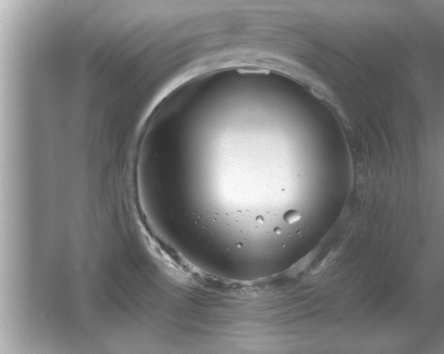 X0000067871530200604131223