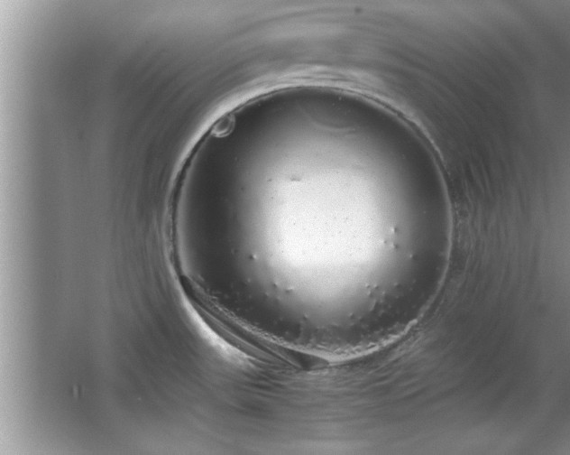 X0000067871531200604131223