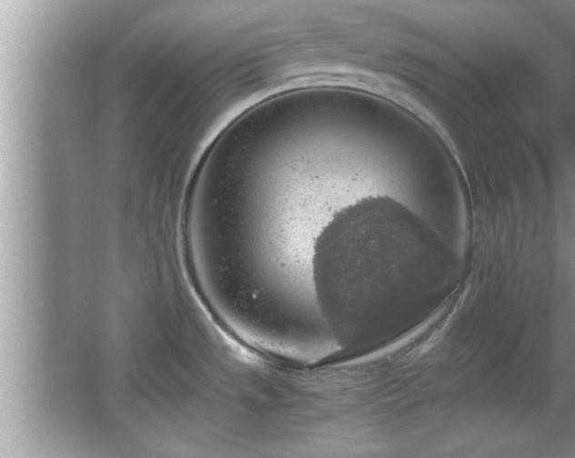 X0000067871533200604131223