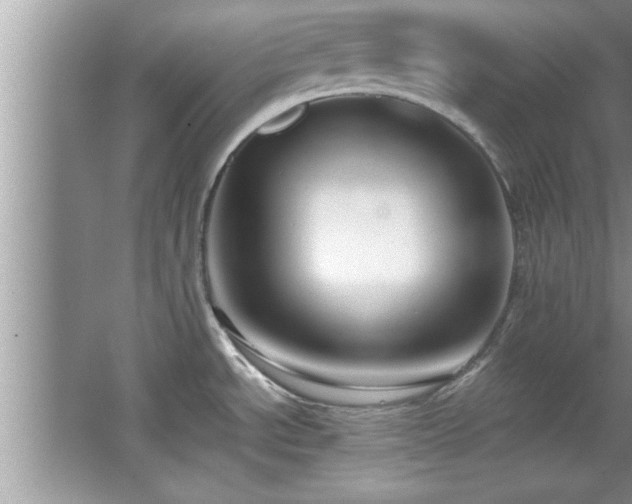 X0000067871534200604131223