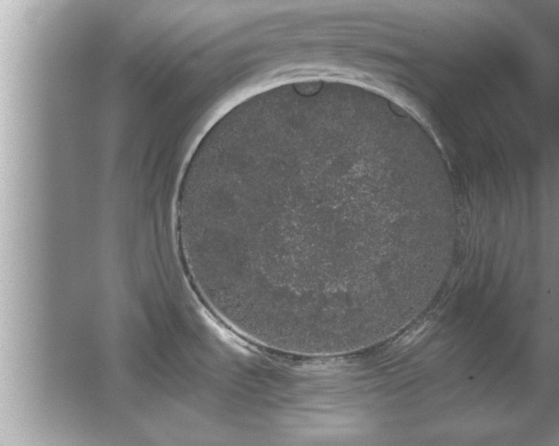 X0000067871535200604131223