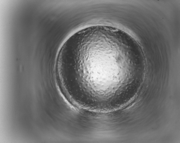 X0000067871536200604131223