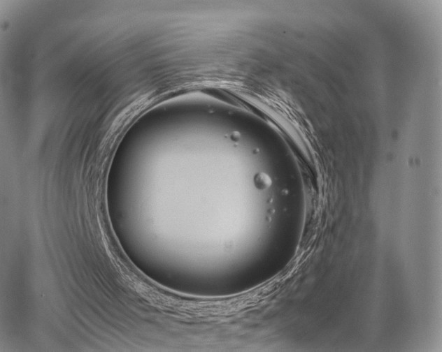 X0000067870001200604171236