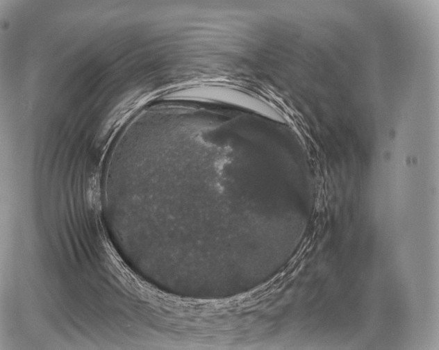 X0000067870002200604171236