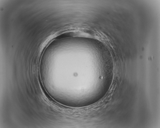 X0000067870003200604171236