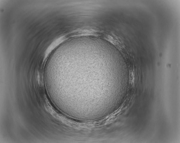 X0000067870004200604171236