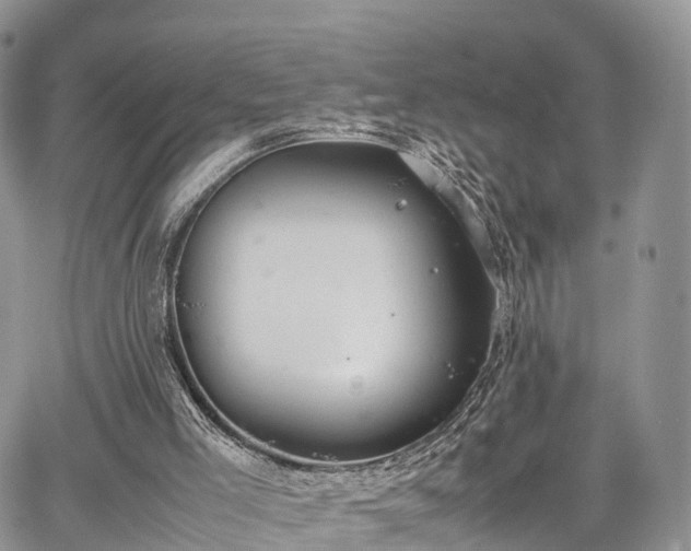 X0000067870005200604171236