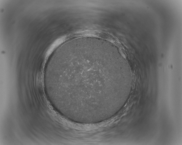 X0000067870006200604171236