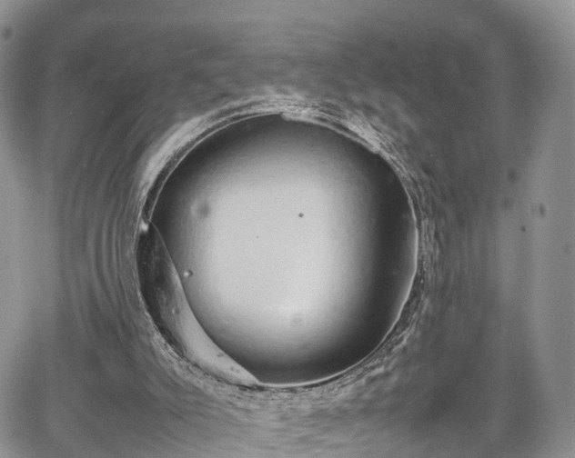 X0000067870007200604171236