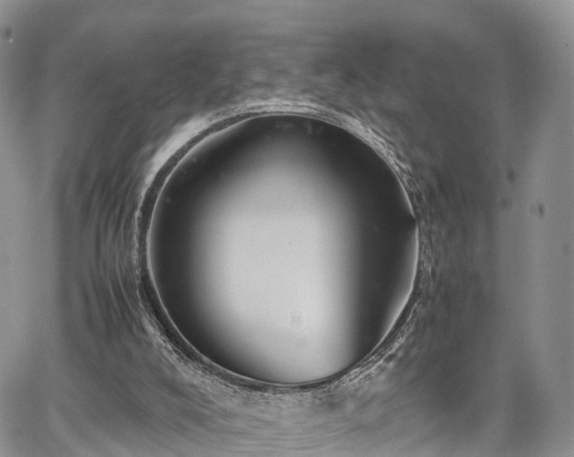 X0000067870008200604171236