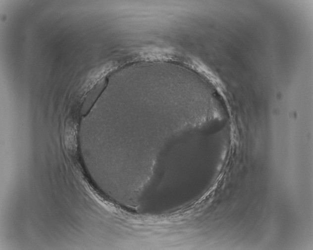 X0000067870009200604171236