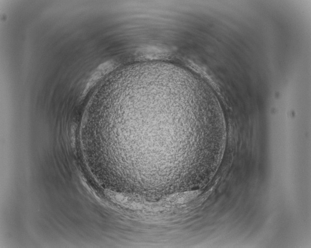 X0000067870010200604171236