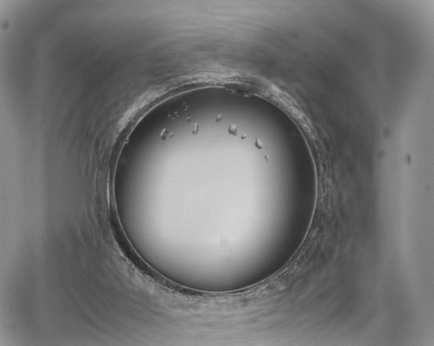 X0000067870011200604171236