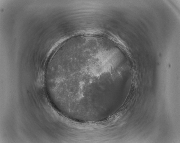 X0000067870012200604171236