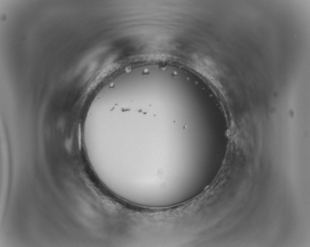 X0000067870013200604171236