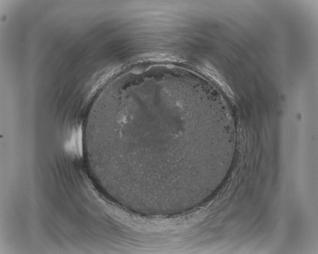 X0000067870014200604171236