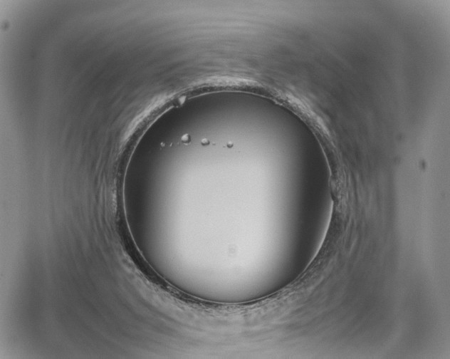 X0000067870015200604171236