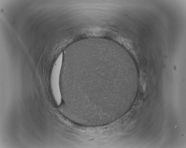 X0000067870017200604171235