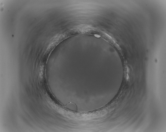 X0000067870018200604171235