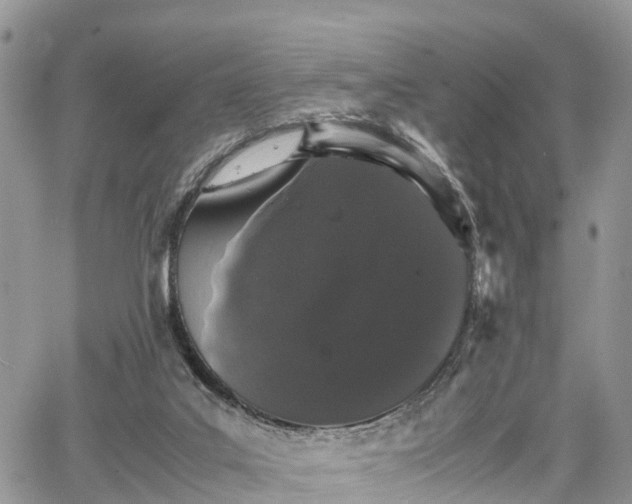 X0000067870019200604171235