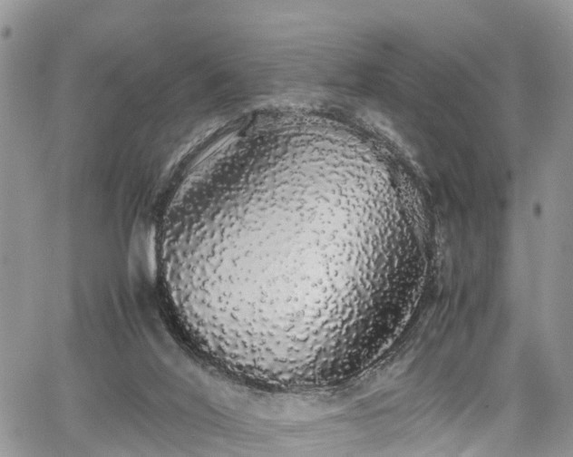 X0000067870020200604171235