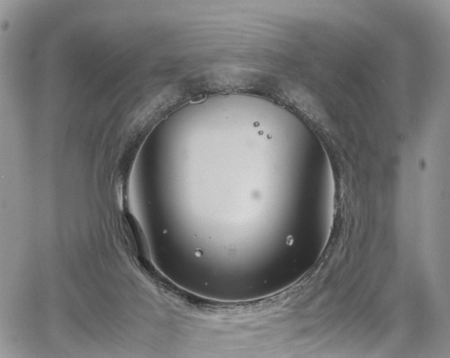 X0000067870021200604171235