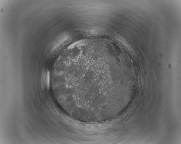 X0000067870022200604171235