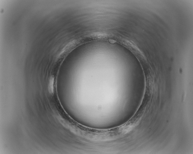 X0000067870024200604171235