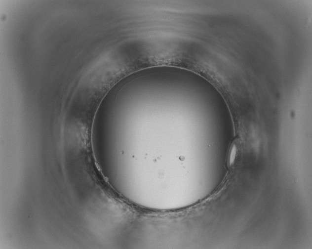 X0000067870025200604171235