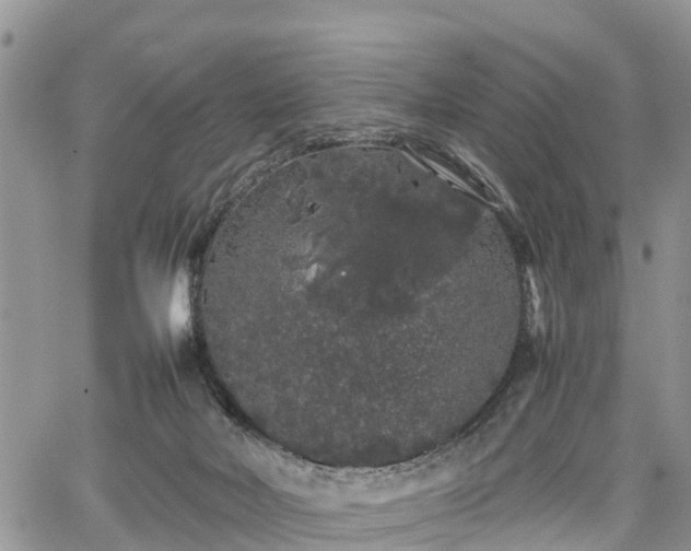 X0000067870026200604171235