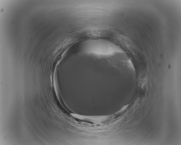 X0000067870027200604171235