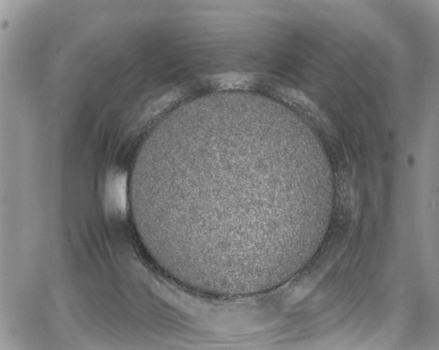 X0000067870028200604171235