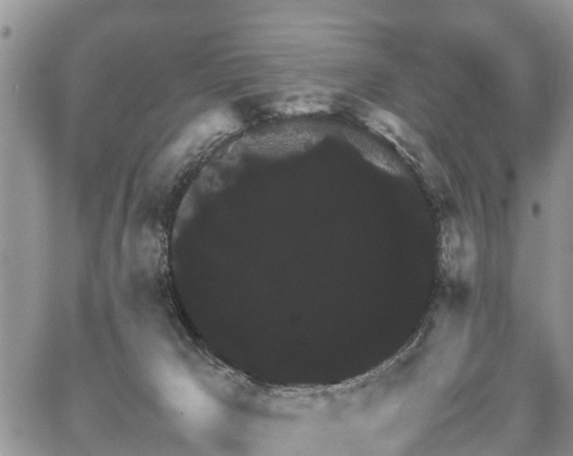 X0000067870029200604171235