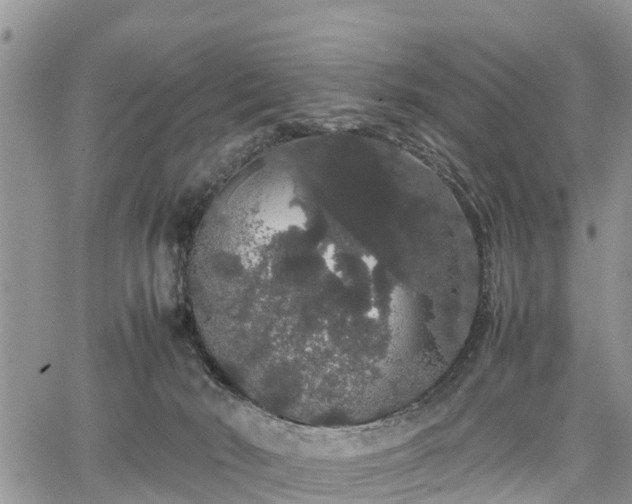 X0000067870030200604171235