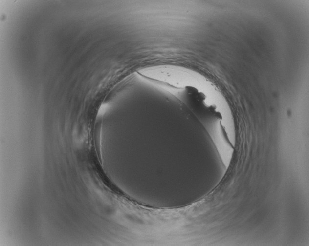 X0000067870031200604171235