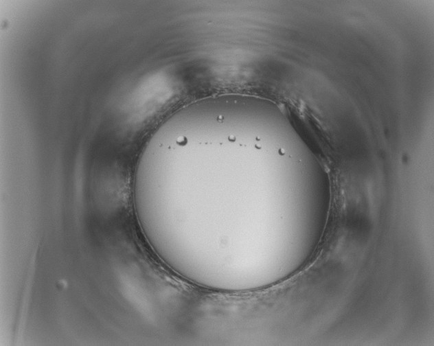 X0000067870033200604171235