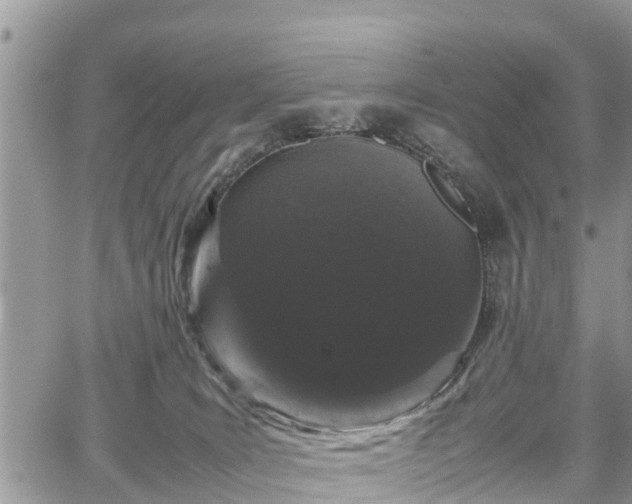 X0000067870035200604171235