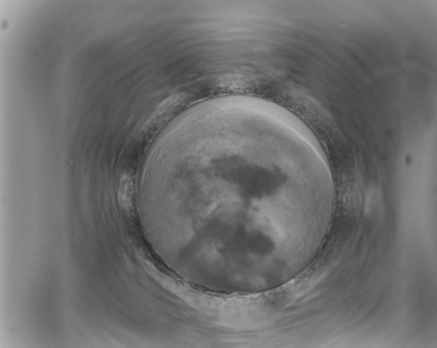 X0000067870036200604171235