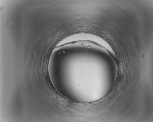 X0000067870037200604171235