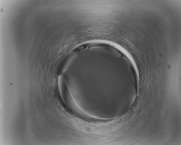 X0000067870039200604171235