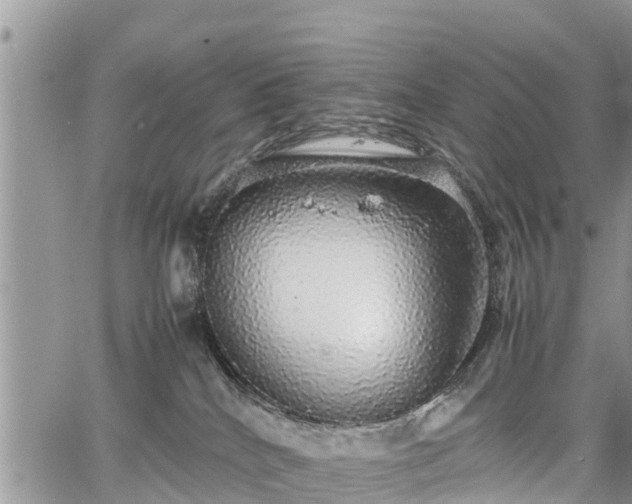 X0000067870040200604171235