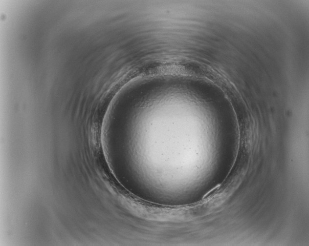 X0000067870044200604171235