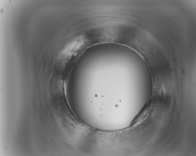 X0000067870045200604171235