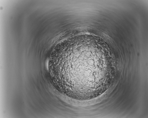 X0000067870047200604171235