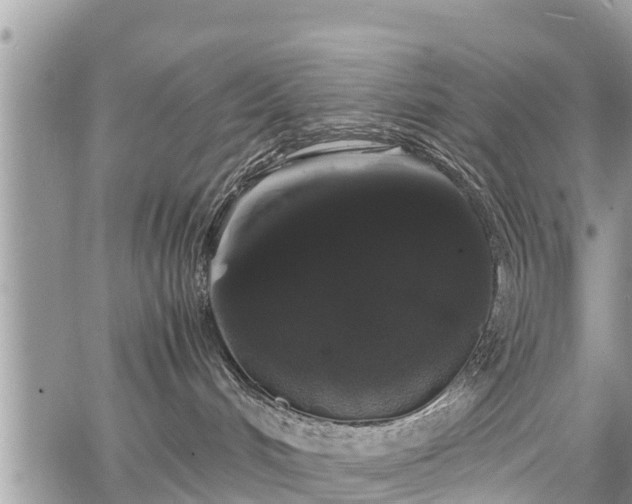 X0000067870048200604171235