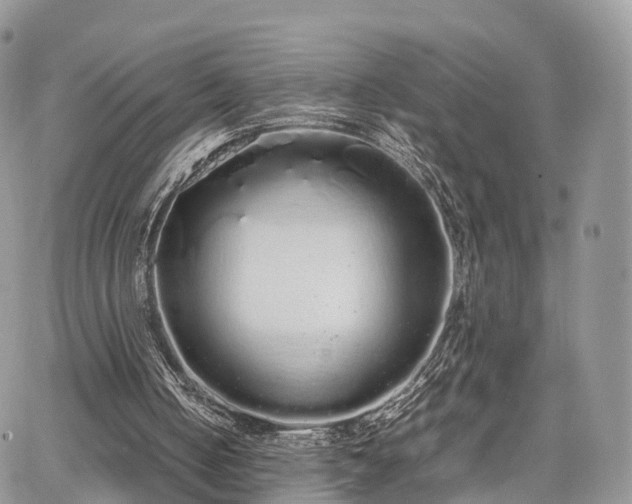 X0000067870050200604171234