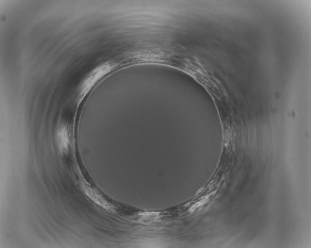 X0000067870052200604171234